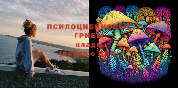 молекула духа Богородск