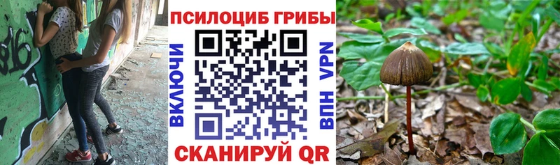 Галлюциногенные грибы Magic Shrooms  наркотики  Медногорск 