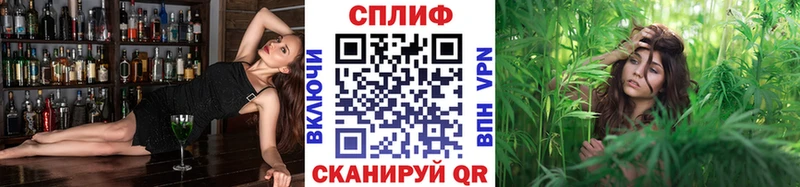 МАРИХУАНА ГИДРОПОН  магазин  наркотиков  Медногорск 